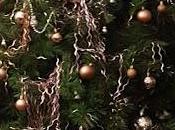 année spéciale, sapin spécial