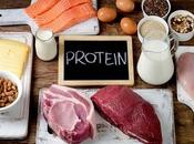 régimes alimentaires riches protéines