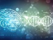 DÉPRESSION voie épigénétique pour réparer très vite neuroplasticité
