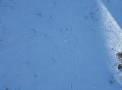 Mauvaises conditions chance d’apprendre