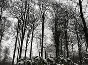 REVUE SEMAINE janvier 2021)