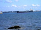 pluie février vaut fumier