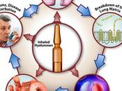 MALADIE PULMONAIRE CHRONIQUE Preuves d’efficacité l’acide hyaluronique