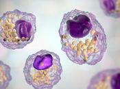DOULEUR promesses époxydes lipidiques