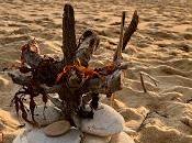 juste forts soient frappés Thibault Bérard