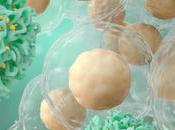 CANCER Pourquoi majorité patients répondent l'immunothérapie