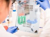 TRISOMIE Pour accès plus large test prénatal