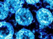 COVID-19 variants pourraient bien échapper vaccins