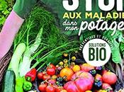 Solutions pour maladies dans potager