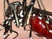 Dans série grandes catastrophes, voila dont nous parle souvent, pourtant elle fait ravages