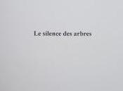 silence arbres