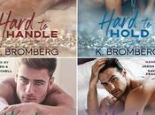 Interview Sarabeth Pollock Bromberg nous parle saga Hard play suite Driven Passionflix