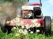 Tondre l'électrique