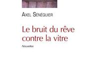 bruit rêve contre vitre