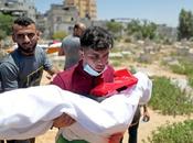 Fibre Présidentielle