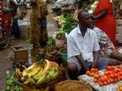 Cameroun Consommation prix semaine marché