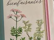 Plantes bienfaisantes, carnet notes Editions Borée