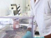 sein l’Administration produits thérapeutiques