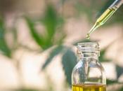 CANNABIDIOL composé thérapeutique universel