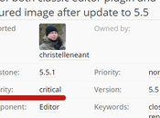 Pourquoi WordPress casse sites