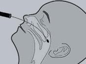 PCR, antigéniques sérologiques, tout comprendre tests Covid-19