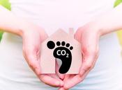 POLLUTION GROSSESSE risque d'obésité pour bébé