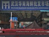 L'origine SARS-COV virus provoqué Covid-19