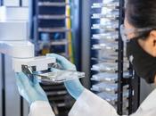 COVID-19 Vaccination infection efficaces contre gamma