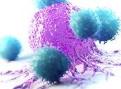 VARIANTS COVID-19 lymphocytes sont meilleurs alliés