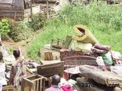 Cameroun Déguerpissement familles dans Douala