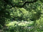 chantier inépuisable