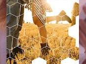 agendas Découvrez Queen Gaia Alexia