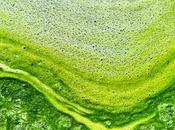 MUCUS MUCINES ingrédients médicaments futur