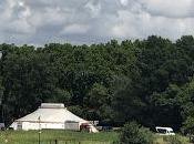 L'Odyssée d'un acteur l’Alchimique Circus pour Festival d’Avignon 2021