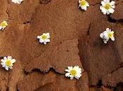 gâteau chocolat indémoulable surperbon