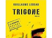 "Trigone -Tome dernière guerre 2008-2011" Guillaume Lebeau