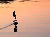 donné spectacle quai...