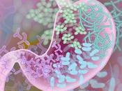 MICROBIOME CERVEAU Microbes contre neurodégénérescence