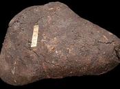 Quand faire, c'est croire