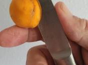 Comment déshydrater abricots pour encas d’été parfait