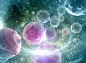CANCER Rigidifier membranes cellulaires pour contenir tumeur
