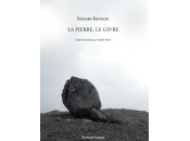 (Anthologie permanente) Ryszard Krynicki, pierre, givre