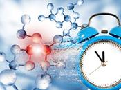 HORLOGE BIOLOGIQUE Comment perturbée, elle compromet l'immunité