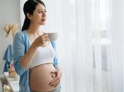 GROSSESSE probiotiques efficaces contre nausées