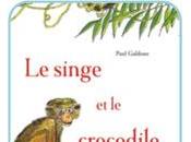 Album jeunesse singe crocodile (conte indien) Paul Galdone