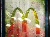 Affichage extérieur