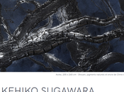 Galerie Taménaga exposition Takehiko Sugawara Mars Avril 2022.