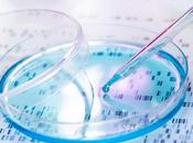 ALZHEIMER Introduire dans cellules humaines mutation protectrice
