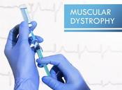 DYSTROPHIE MUSCULAIRE sphingolipides, promesses d'une nouvelle cible