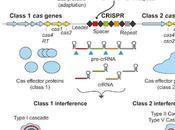 #trendsinbiochemicalsciences #souvernirs #adaptation #CRISPR Créer souvenirs mécanismes moléculaires l'adaptation CRISPR